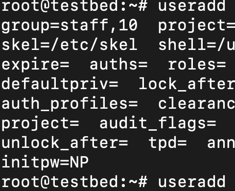 Solaris 11.4 SRU 87: Directly creating users with NP set